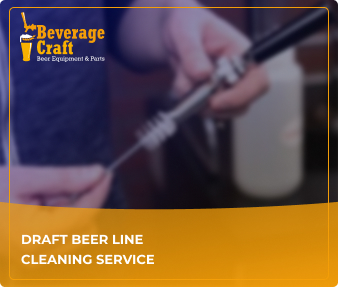 Draft beer line cleaning service
